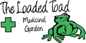 Loaded Toad Logo